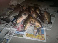 2013-11-25-919.webp