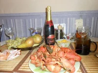 SSCN2605.webp