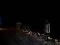 20131129_214928-1376080986.webp