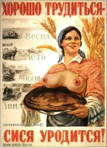 18443267_KABCC41.webp