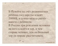 54034456.webp