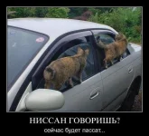 Y_XY2LKZq2c.webp