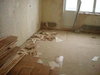 DSC00016-1.webp