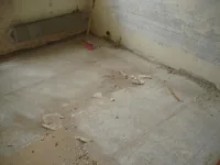DSC00017-1.webp