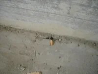 DSC00018-1.webp