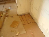 21.webp