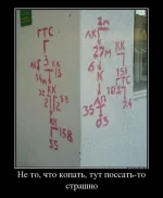 113571871.webp
