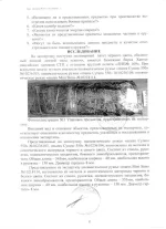 2010 001.webp