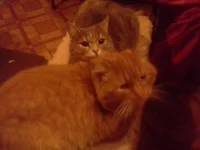 20131202_231931.webp