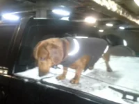 20131208_131130.webp