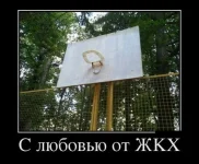 8ixLVDvqZV8-Д.webp