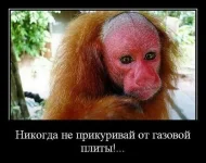 i-XxFhbZjzg.webp