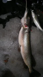 2013-12-28-376.webp