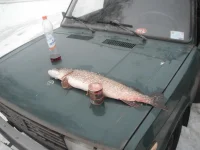 DSCF0418.webp