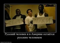негры.webp