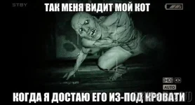 3e4b34c4e2.webp