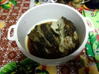12222.webp