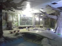 20131224_083917.webp