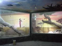 20131224_084239.webp