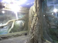 20131224_084138.webp
