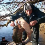 image.webp