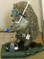 s3Gimg_20221559_7922_1.gif