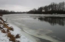 20140111_145128.webp