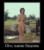getImage (46).webp