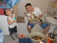 88888.webp