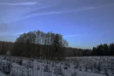 еленка1.webp
