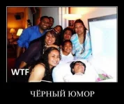 121.webp