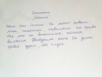 сочинение.webp