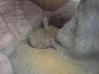 20140120_085524.webp