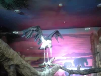 20140121_145924.webp