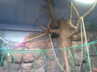 20140121_150049.webp