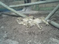 20140121_150513.webp