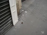 getImageCA23RQ7D.webp