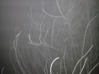 20140121_234234.webp
