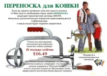 74ae49.webp