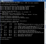 3434343.webp