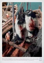 pan0022.webp