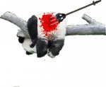 Рисунок1.jpg