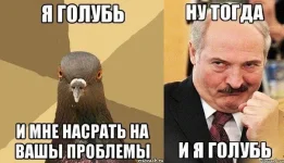 батько.webp