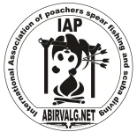 Безимени-3 копия.webp