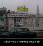 3182525_a81e2684.webp