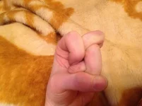 image.webp