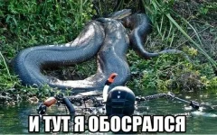 bukV7t7CtLs.webp