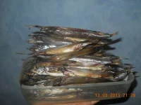 DSCN3.webp
