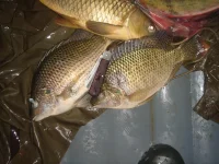 DSC03209.webp