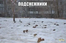 1362420079_iryqzvmyszi.webp